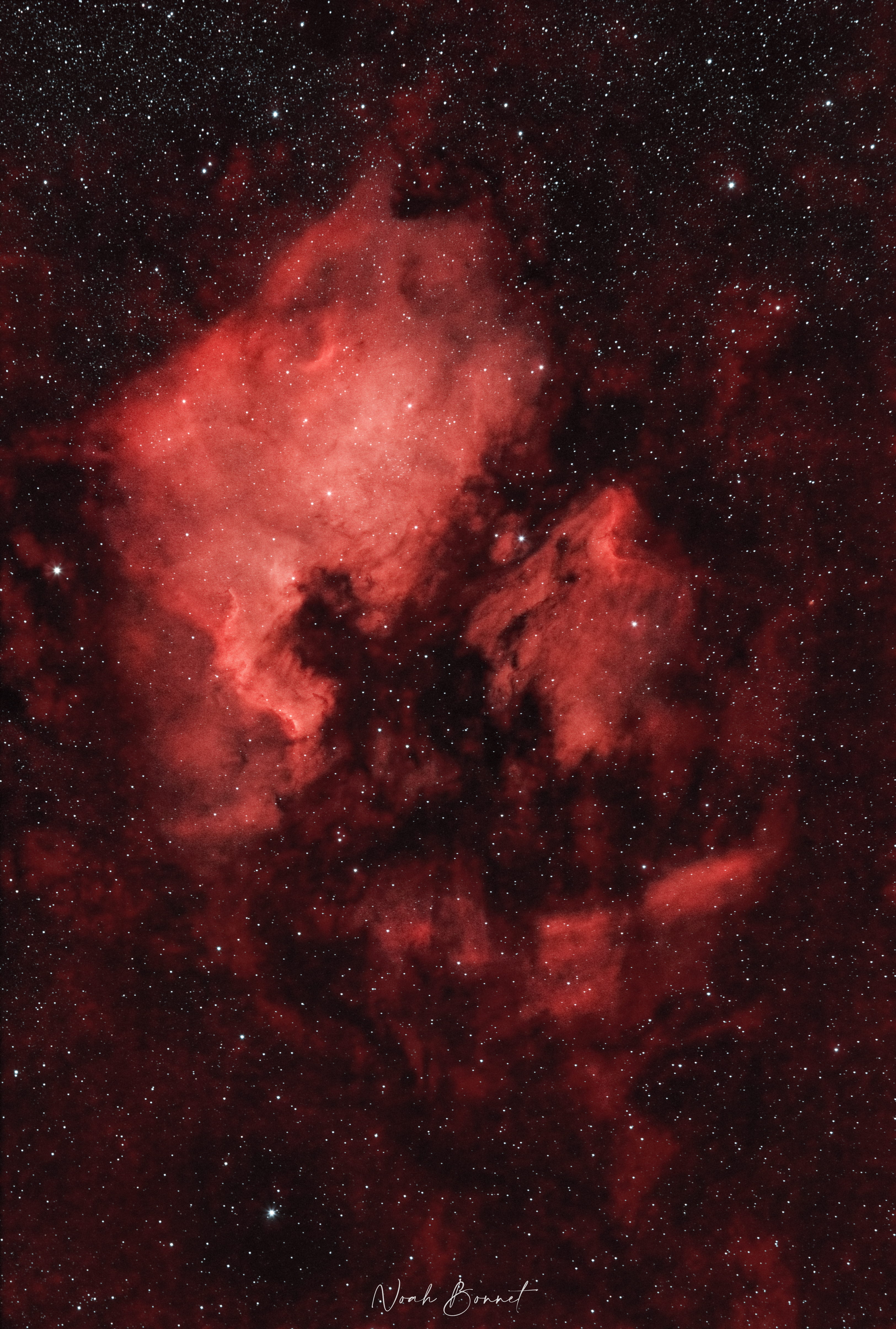 Nébuleuse North America — NGC 7000